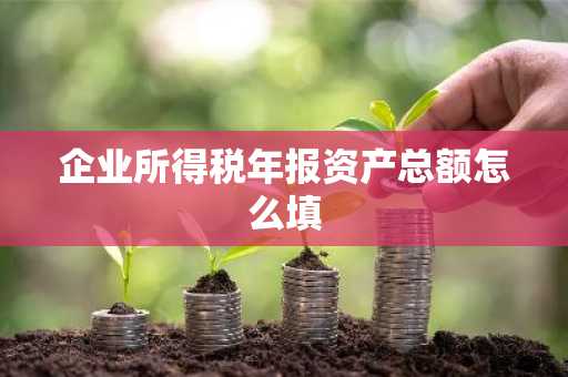 企业所得税年报资产总额怎么填