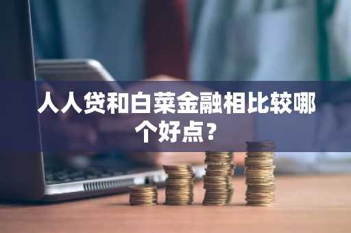 人人贷和白菜金融相比较哪个好点？