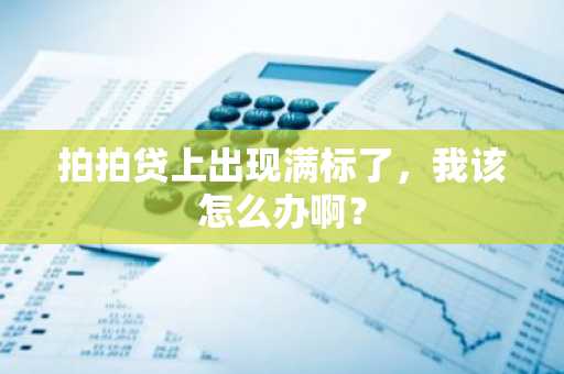 拍拍贷上出现满标了，我该怎么办啊？