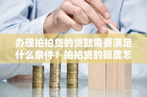 办理拍拍贷的贷款需要满足什么条件？拍拍贷的额度怎么评估？请好心人士告知。