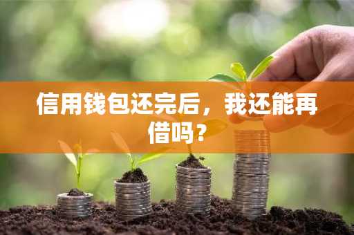 信用钱包还完后，我还能再借吗？