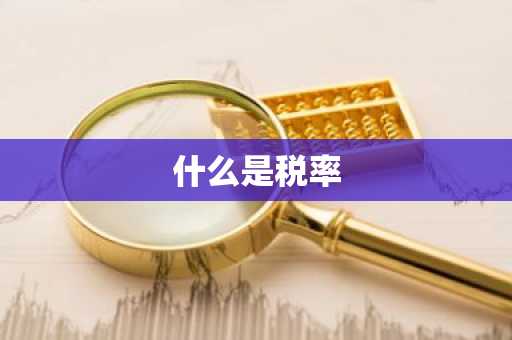 什么是税率