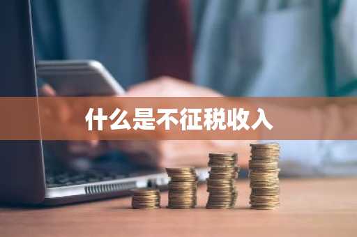 什么是不征税收入