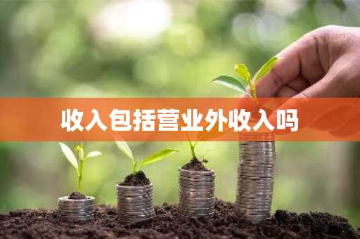 收入包括营业外收入吗