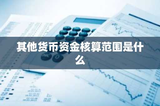 其他货币资金核算范围是什么