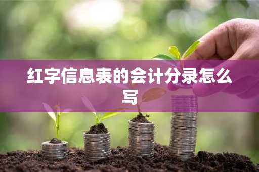 红字信息表的会计分录怎么写