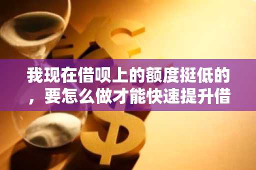 我现在借呗上的额度挺低的，要怎么做才能快速提升借呗的额度？