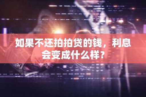 如果不还拍拍贷的钱，利息会变成什么样？