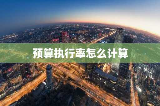 预算执行率怎么计算