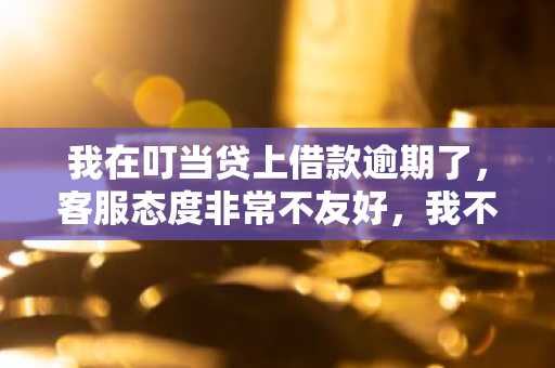 我在叮当贷上借款逾期了，客服态度非常不友好，我不想还了，叮当贷不还有什么后果？
