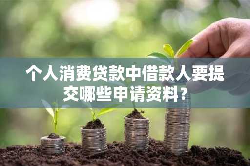 个人消费贷款中借款人要提交哪些申请资料？