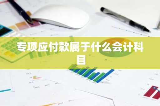 专项应付款属于什么会计科目