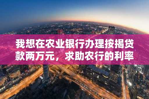 我想在农业银行办理按揭贷款两万元，求助农行的利率？