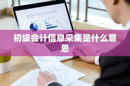 初级会计信息采集是什么意思
