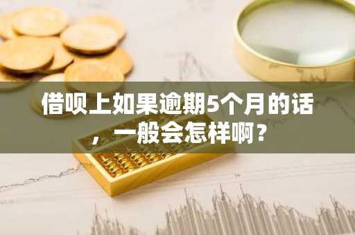 借呗上如果逾期5个月的话，一般会怎样啊？