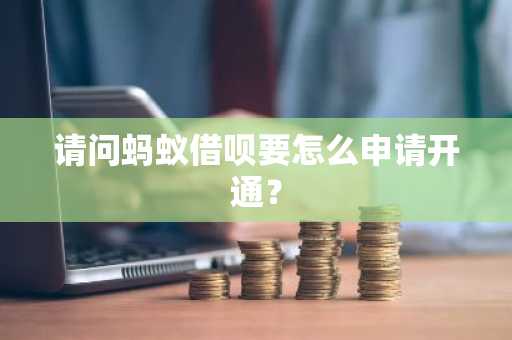 请问蚂蚁借呗要怎么申请开通？