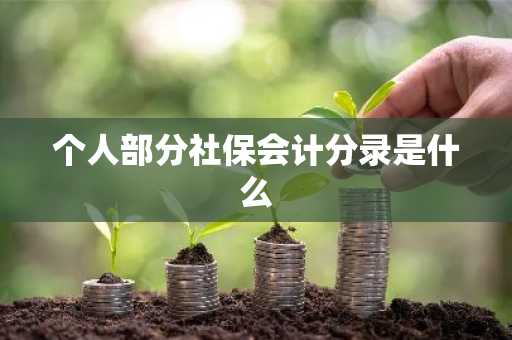 个人部分社保会计分录是什么