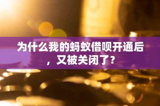 为什么我的蚂蚁借呗开通后，又被关闭了？