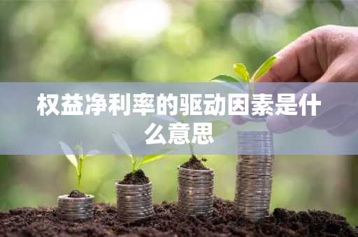 权益净利率的驱动因素是什么意思