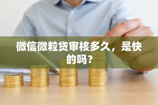 微信微粒贷审核多久，是快的吗？