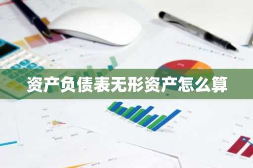 资产负债表无形资产怎么算