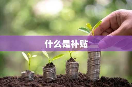 什么是补贴
