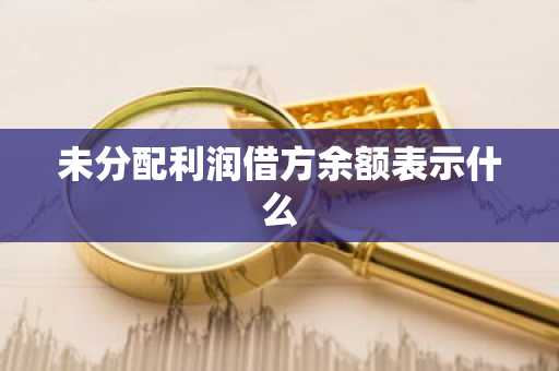 未分配利润借方余额表示什么