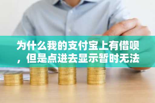 为什么我的支付宝上有借呗，但是点进去显示暂时无法使用，是什么原因？