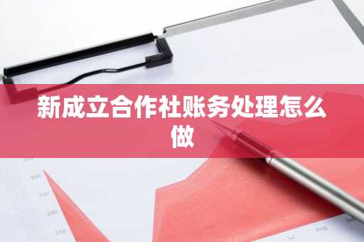 新成立合作社账务处理怎么做