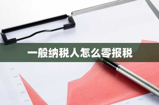 一般纳税人怎么零报税