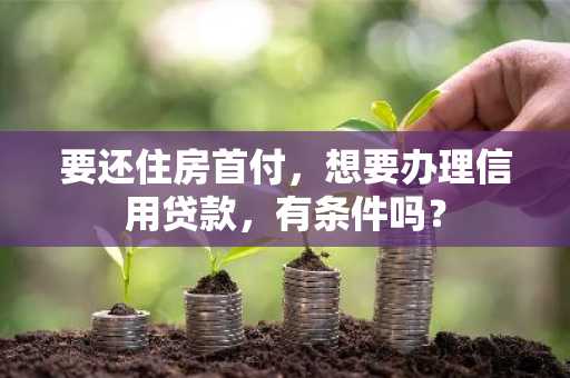 要还住房首付，想要办理信用贷款，有条件吗？