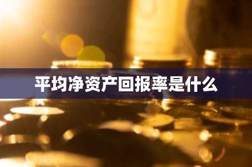 平均净资产回报率是什么