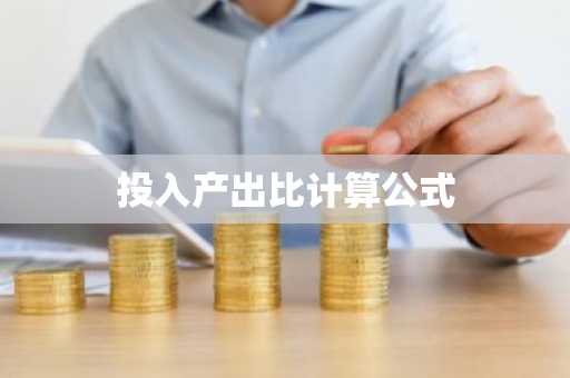 投入产出比计算公式