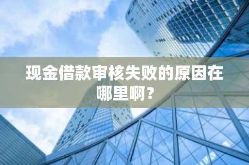 现金借款审核失败的原因在哪里啊？