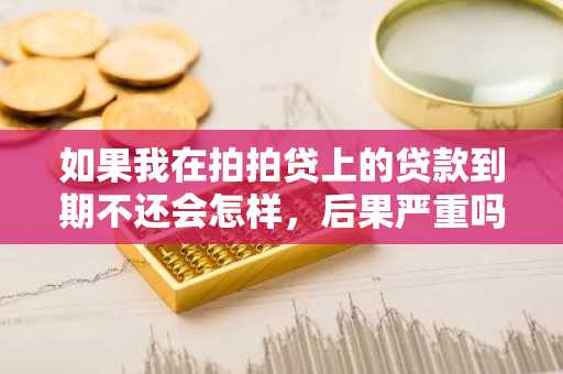 如果我在拍拍贷上的贷款到期不还会怎样，后果严重吗？