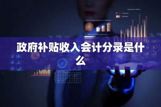 政府补贴收入会计分录是什么