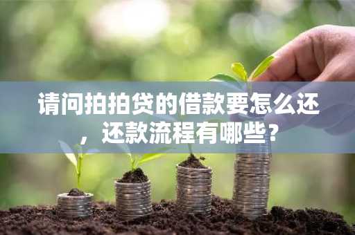 请问拍拍贷的借款要怎么还，还款流程有哪些？