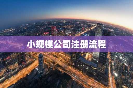小规模公司注册流程