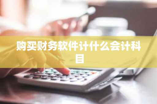 购买财务软件计什么会计科目