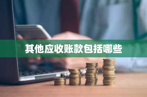 其他应收账款包括哪些