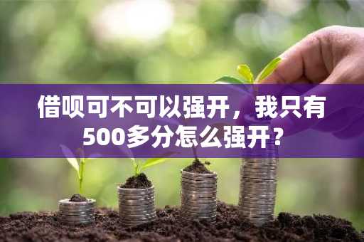借呗可不可以强开，我只有500多分怎么强开？