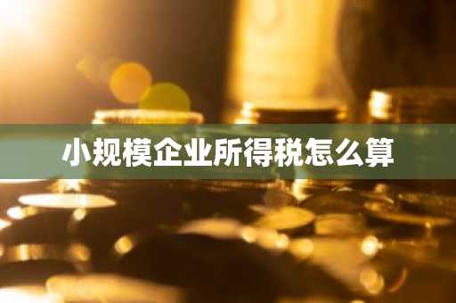 小规模企业所得税怎么算