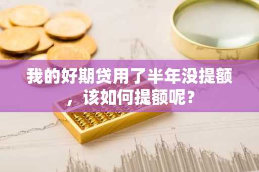 我的好期贷用了半年没提额，该如何提额呢？