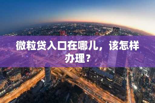 微粒贷入口在哪儿，该怎样办理？