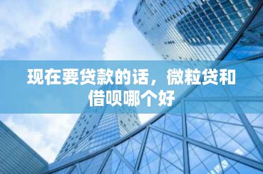 现在要贷款的话，微粒贷和借呗哪个好