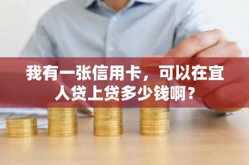 我有一张信用卡，可以在宜人贷上贷多少钱啊？