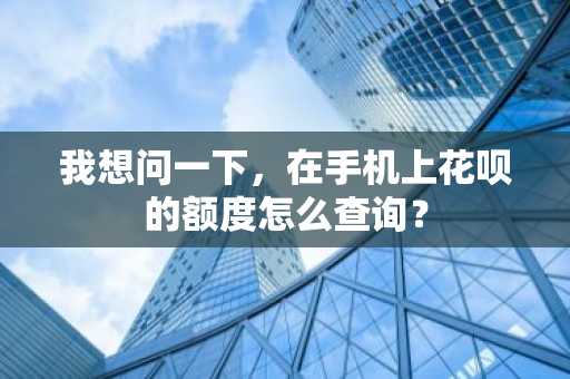 我想问一下，在手机上花呗的额度怎么查询？