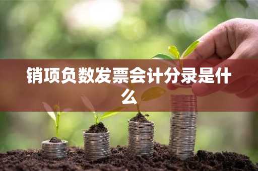 销项负数发票会计分录是什么