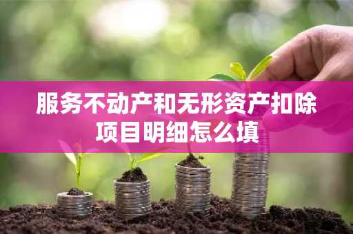 服务不动产和无形资产扣除项目明细怎么填