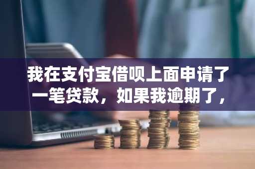 我在支付宝借呗上面申请了一笔贷款，如果我逾期了，会上征信系统吗？